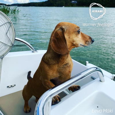A water-loving Onni-dog | Kirami - Warmer feelings