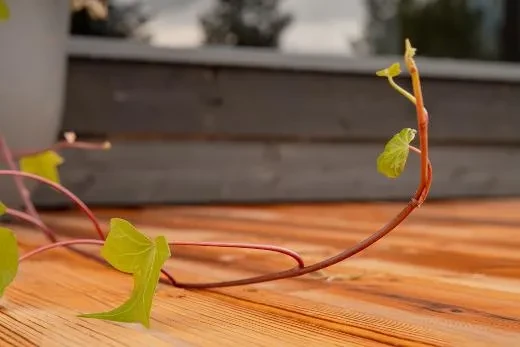 A clean and cohesive look with Misty modules.