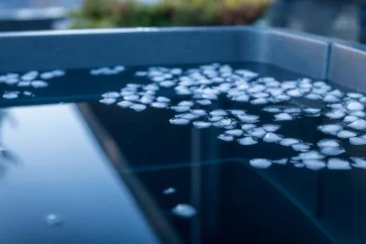 Comfort BlackIce S - BlackLeather, gray